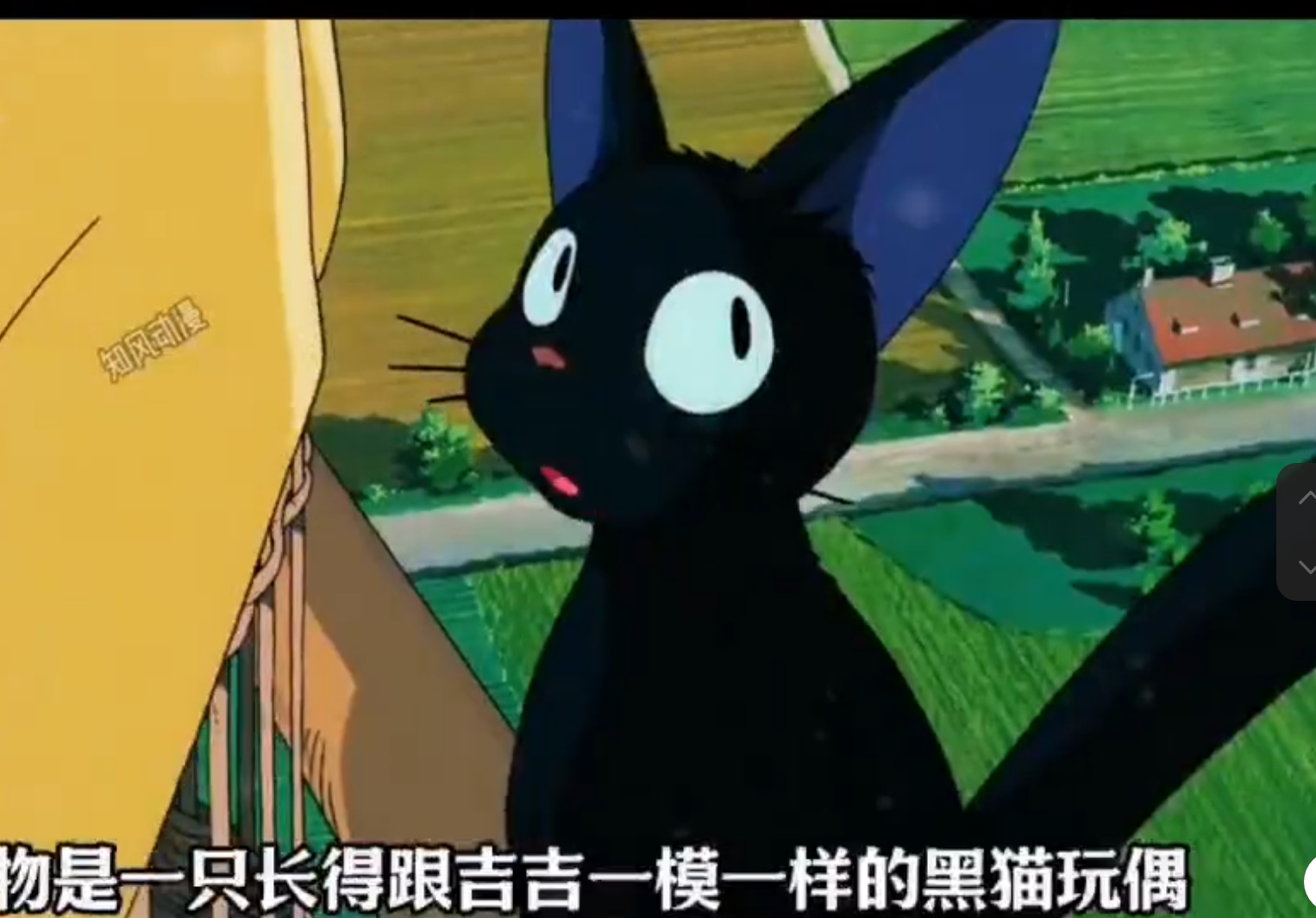 ジジ